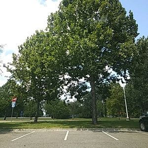 Meet your Posher, Joy